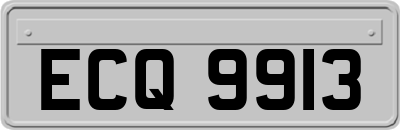 ECQ9913
