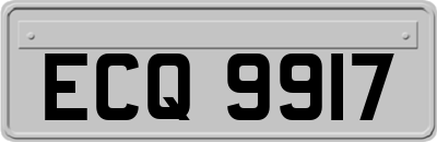 ECQ9917