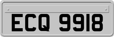 ECQ9918