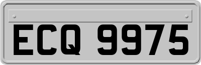 ECQ9975