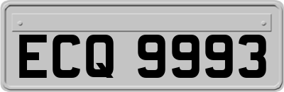ECQ9993