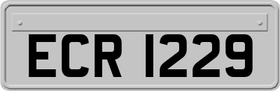 ECR1229
