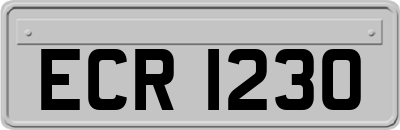 ECR1230