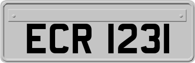 ECR1231