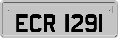 ECR1291