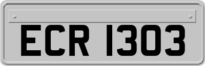 ECR1303