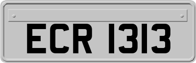 ECR1313