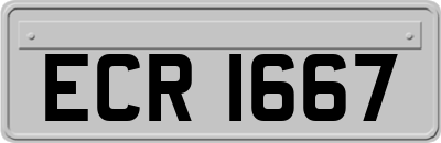 ECR1667
