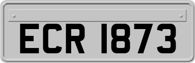 ECR1873