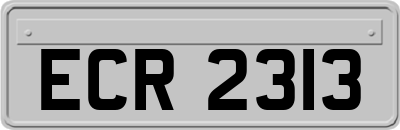 ECR2313