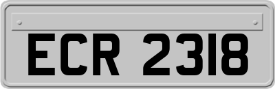 ECR2318