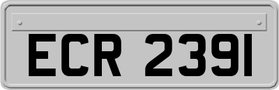 ECR2391
