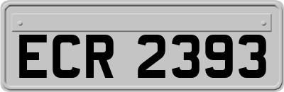 ECR2393