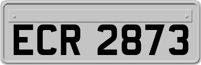 ECR2873