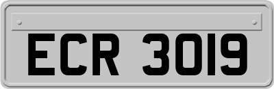 ECR3019
