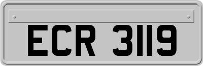 ECR3119