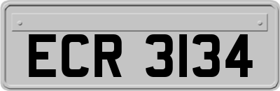 ECR3134