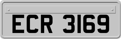 ECR3169