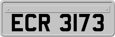 ECR3173