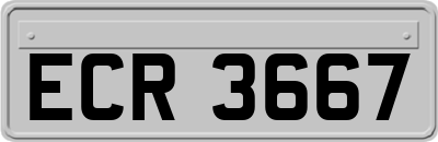 ECR3667