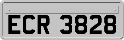 ECR3828