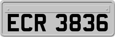 ECR3836
