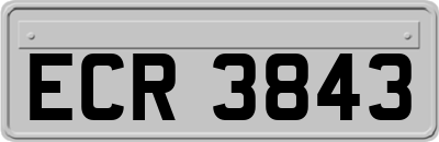 ECR3843