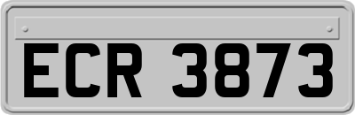 ECR3873