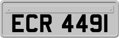 ECR4491