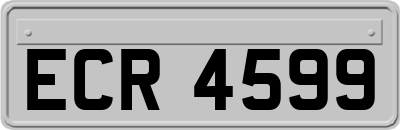 ECR4599