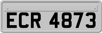 ECR4873
