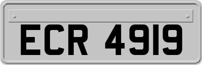 ECR4919