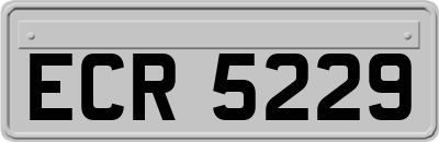 ECR5229