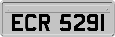 ECR5291
