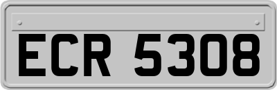 ECR5308