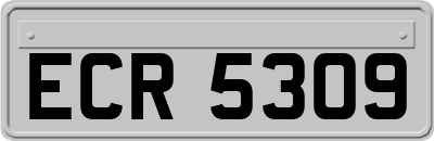 ECR5309