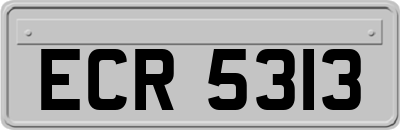 ECR5313
