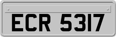 ECR5317