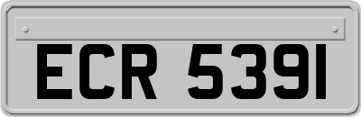 ECR5391