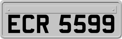 ECR5599