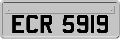 ECR5919