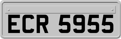 ECR5955