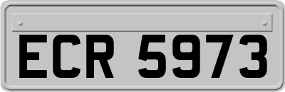 ECR5973