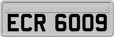 ECR6009