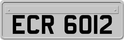 ECR6012