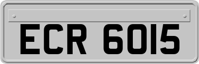 ECR6015