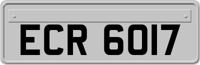 ECR6017