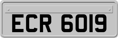 ECR6019