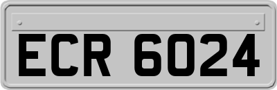 ECR6024