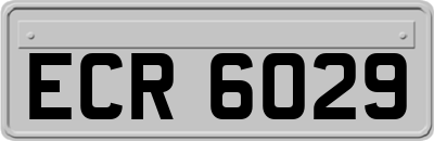 ECR6029